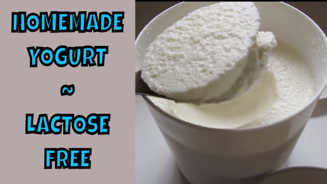 Homemade Yogurt ~ Lactose Free~ SCD