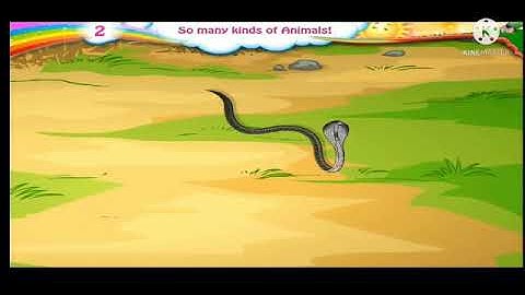 Std : 3.Sub : E.V.S.  Ls.No.2.So many kinds of animals.(Part 2 )