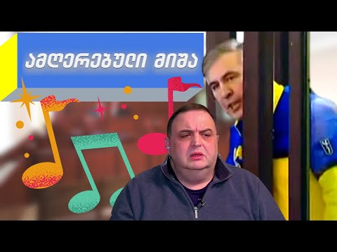 სასამართლოზე ამღერებული მიშა და გუბაზ სანიკიძე / #სამნი \u0026 Co./  0.02.2022