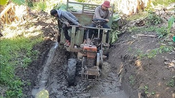 xe công nông 2 câu chở chuối cực kỳ khỏe và cái kết