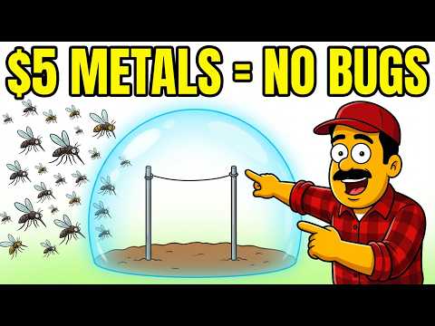 Two Metals in the Ground Create an Invisible Wall Bugs Won’t Cross