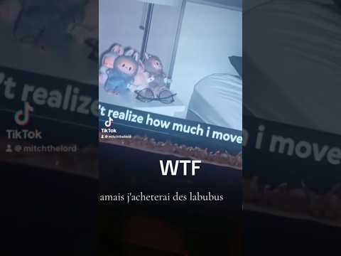 Labubu Dolls Caught Moving Haunted Labubu Paranormal Labubudolls