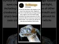 Telescope Fish: The Deep Sea Predator with Tube Eyes