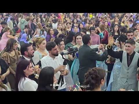 داوتا ناصر خدر فقير زيدان شنكالي في قاعة سنوني