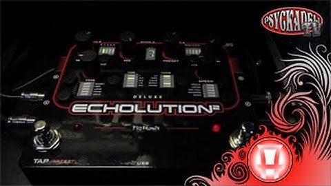 How to use the Pigtronix Echolution 2 Deluxe when making crazy sounds
