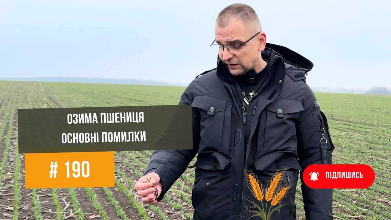 # 190 Прибуткова пшениця в посушливих умовах з Віктором Філатовим, Харківська область.