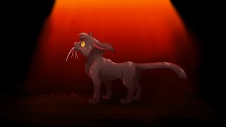 Breezepelts Trial [Part 12] [ Warrior Cats ]