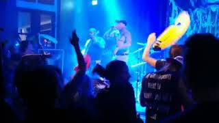 Rectal Smegma - Slime Swine Swing