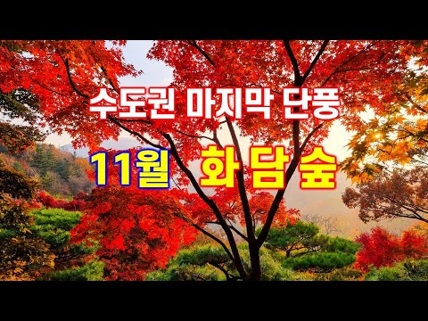 수도권 마지막 단풍 여행지 화담숲 - 해산강트래블(海山江 travel)