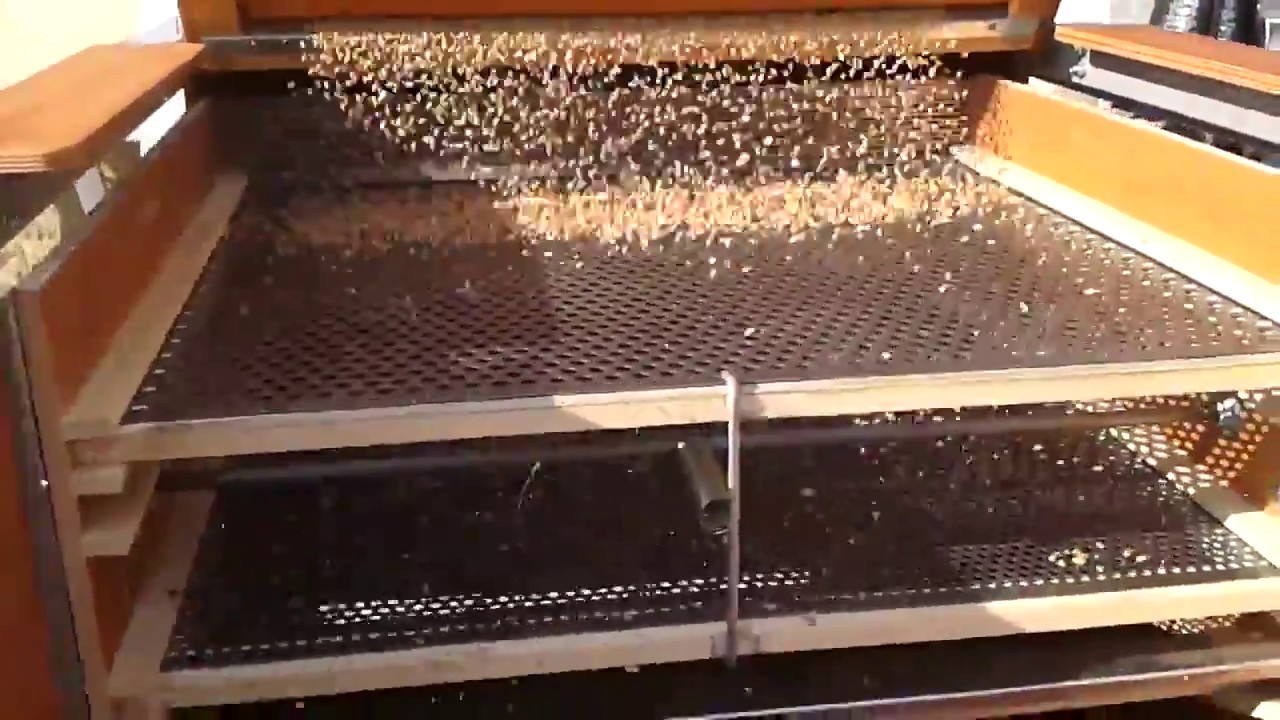 Macchina Pulitrice Per Semi E Cereali – Separatore A Ventola Regolabile, 2 Sili In Acrilico, Per Mangime Per Uccelli E Piccoli Grani