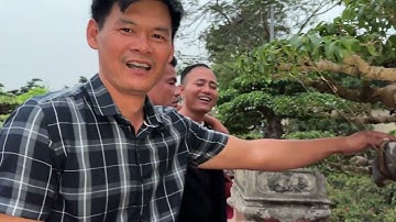 Một tác phẩm chất lượng của anh Đoan Giao Thuỷ NĐ tại hội bonsai 1978. KM 13/12/2025 Duy tiên Hà Nam