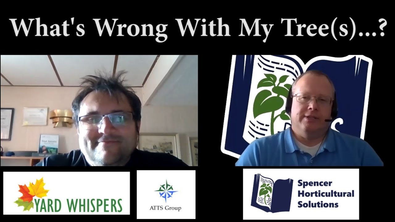 What's Wrong With My Trees Part 6 Spring & Summer Care YouTube