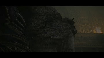 Shadow Of The Colossus (PS4) - Barba HTA - 1:02:40