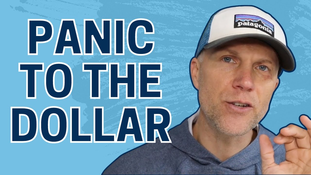 Panic to the Dollar - Weekly Update
