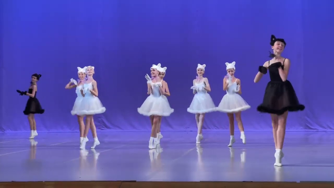 Номер «Кошечки». МГАХ