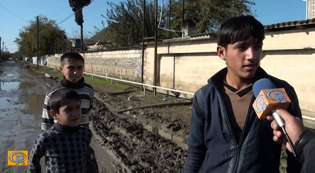 CƏLİLABADIN SABİRABAD KƏND BƏLƏDİYYƏSİNİN BAŞI TOYUQ BİZNESİNƏ QARIŞIB