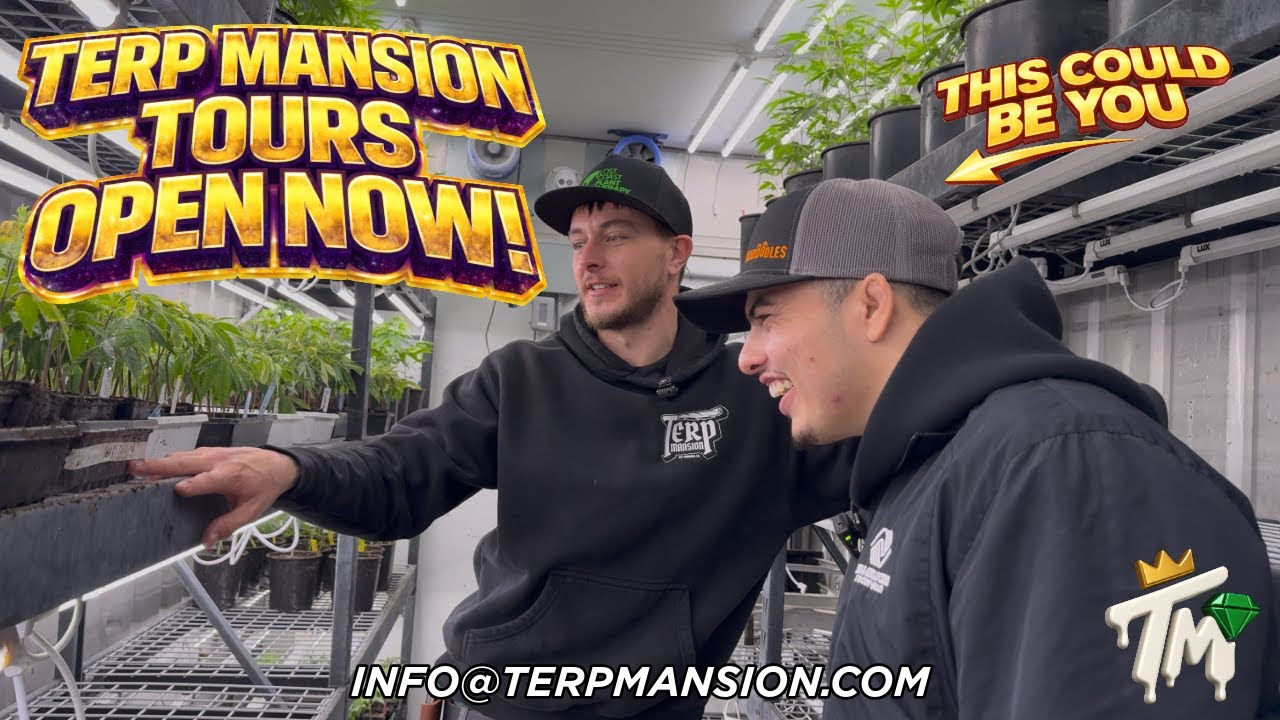 TOUR SNEAK PEAK AT TERP MANSION!