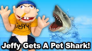 Jeffy Gets A Pet Shark!