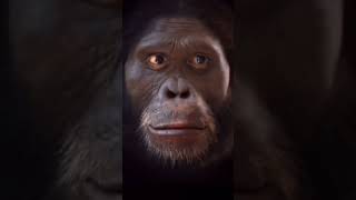 NOT a Gorilla Morphing Into Jinu 😭🔥 #kpopdemonhunters #morph #jinu #kpopdemonhunters #fyp #hojin