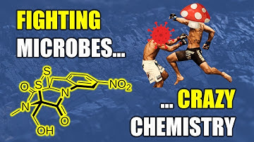 Exotic Sources of Cancer Medicines: Total Synthesis of Glionitrin Natural Products (Organic Chem)