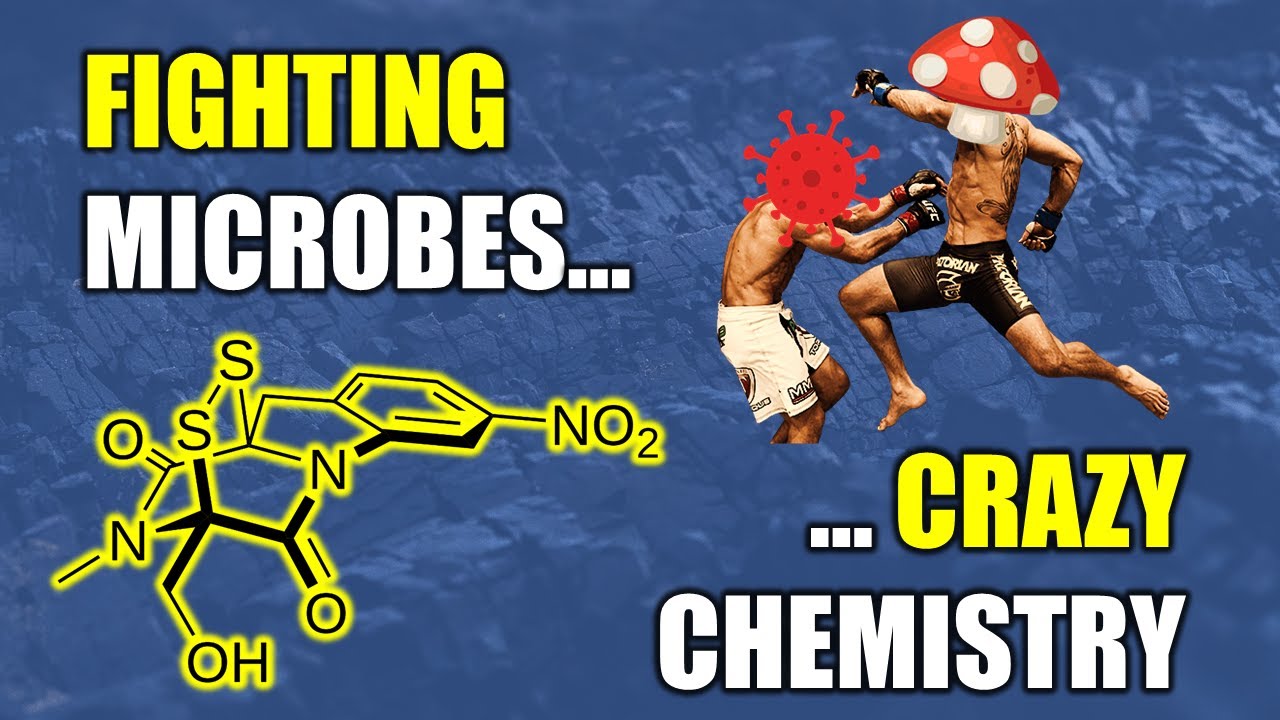 Exotic Sources of Cancer Medicines: Total Synthesis of Glionitrin Natural Products (Organic Chem)