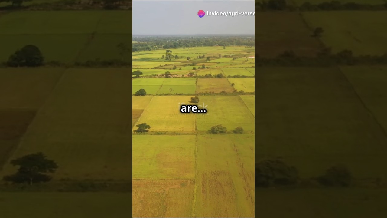 DID YOU KNOW THIS ABOUT PHOTOSYNTHESIS? 🌿🔆 | Power Of Photosynthesis