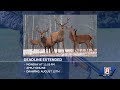Application window for Maine antlerless deer permits has been extended