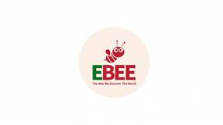 Ebee Logo Intro