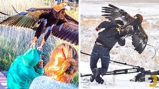12 Craziest Eagle Attacks Caught On Camera!