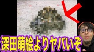 みんなこれを知ってほしい