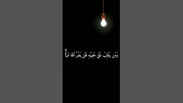 تلاوة من سورة آل عمران #قرآن #quran #تلاوات #اكسبلور