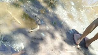 Rio Setubal Quase Seco😢