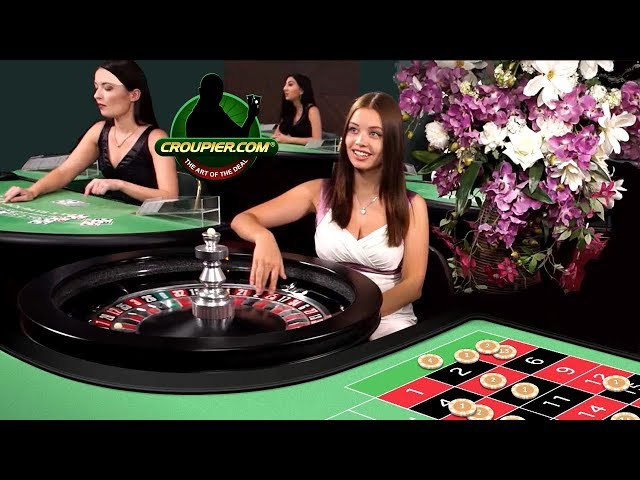 casino Like A Pro With The Help Of These 5 Tips