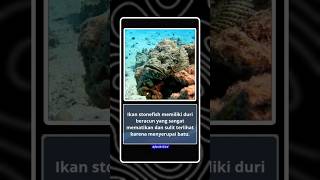 stone fish, ikan batu mematikan. #stonefish #ikan #shorts #tahukahkamu #faktaunik #edukasi #fyp