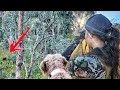 Deer hunting adventure with holly