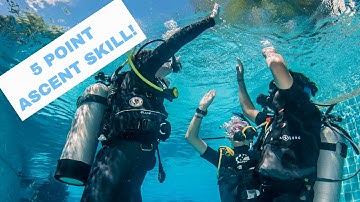 5 Point Ascent 👍 PADI Open Water Diver Course • Scuba Diving Tips