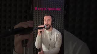 Я Стрів Троянду- Sergiy184 Cover (Богдан Малик)