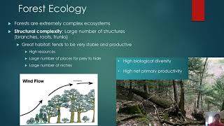 Chapter 9 Introduction to Forests