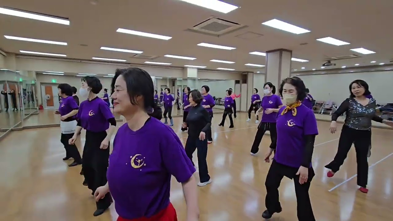 Ziggy Linedance/ Absolute Beginner/ 지기라인댄스