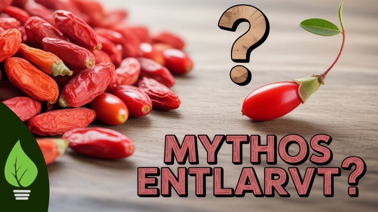 🍇Goji-Beeren: Wundermittel oder nur Beere? Anbauen, pflegen & ernten!
