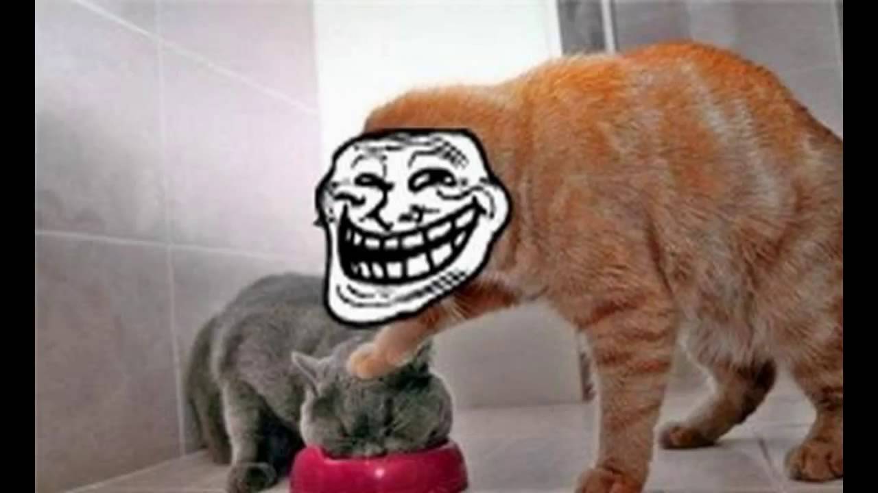 Incase Troll Toll