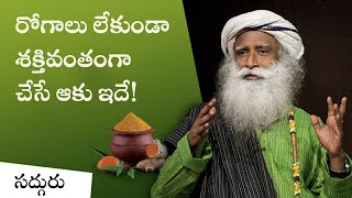 రోగాలు లేకుండా శక్తివంతంగా చేసే ఆకు ఇదే! Detox Yourself With This Yogic Superfood | Sadhguru Telugu