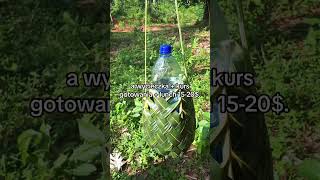 Zanzibar z safari - koszty podróży 🐘 #podróże #wakacje #travel #mmteam #zanzibar #safari #tanzania