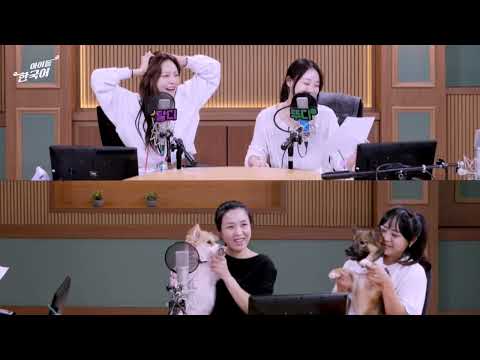 [Ep.642] 카밍 시그널이 뭐예요? 🐶아돌한 원데이 클래스 - 강아지 마음 읽기❣️뽀또랑 해온이랑