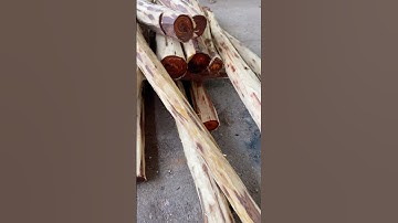 Gỗ trắc đỏ đen gia lai