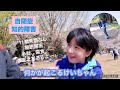 【自閉症×重度知的障害】ブレイブボード久々公開!/特別支援学校6年生