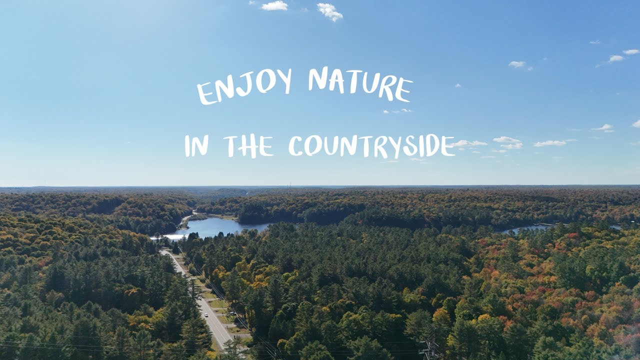 Soaring Over Scenic Countryside