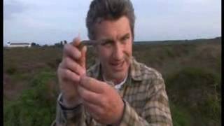 BBC Springwatch 2014 - Episode 11 Part 2