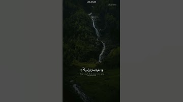 تلاوة تاخذك الي عالم ثاني بصوت الشيخ ياسر الدوسري|حالات واتس|