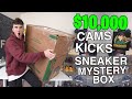 I Bought A $10,000 Cams Kicks Sneaker Mystery Box...